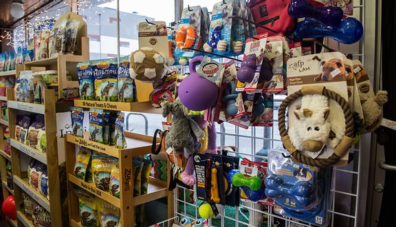 Pet’s Home - Shop Thú Cưng - Rạch Bùng Binh Q3