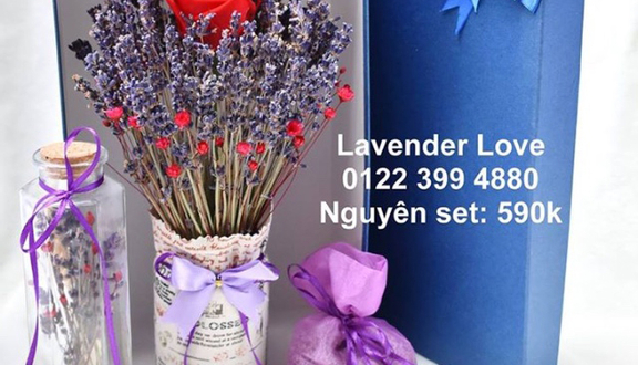 Lavender Love