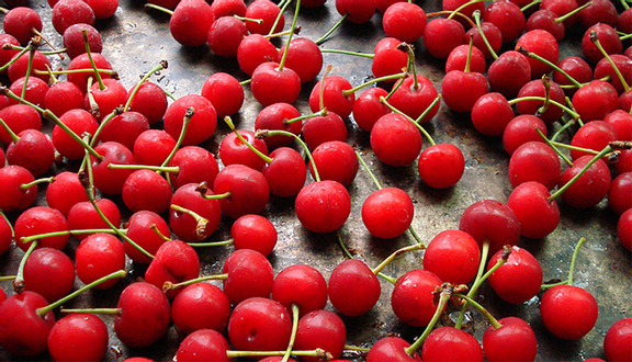 Happy Fruit - Trái Cây Nhập Khẩu - Tân Hòa Đông
