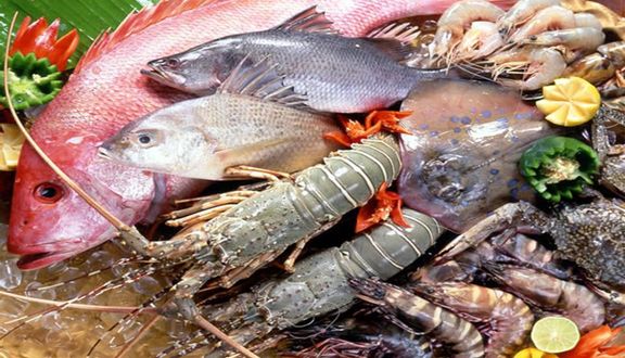 Hải Sản Sa Kỳ - Thực Phẩm Tươi Sống