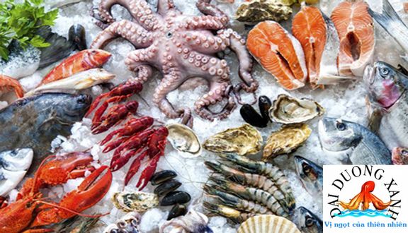 Hải Sản Đại Dương Xanh - Nguyễn Tri Phương