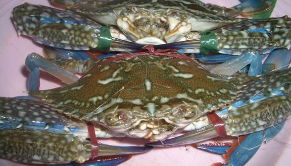Chợ Bình Điền - Hải Sản Tươi Sống