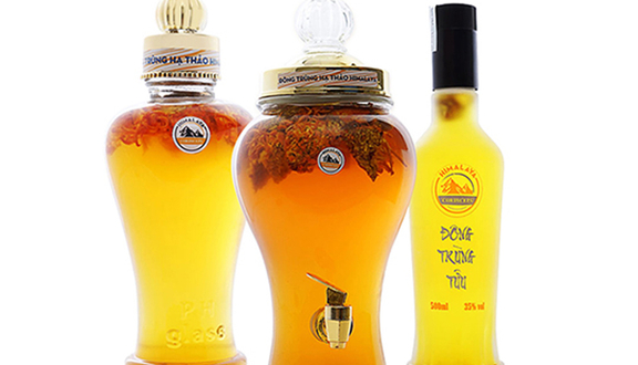 Đông Trùng Hạ Thảo Himalaya
