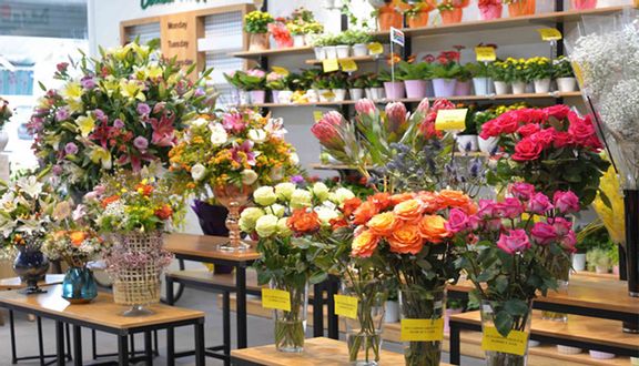 Dalat Hasfarm Hai Bà Trưng - Shop Hoa Tươi