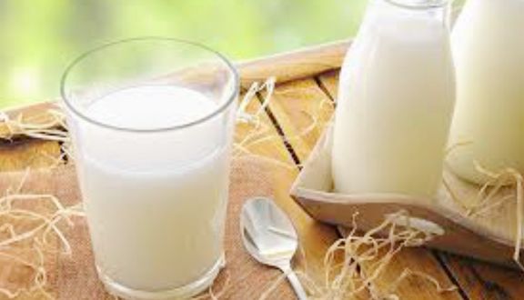 Enjoy Milk Tea - Sữa Tươi Thốt Nốt Rim