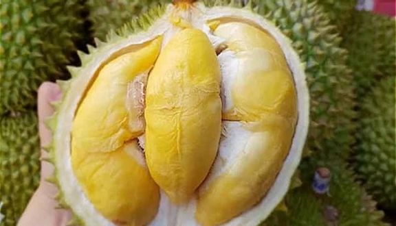 Cơm sầu riêng Monthon