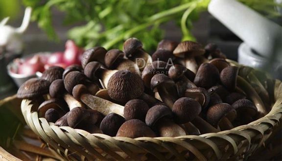 Combo xum vầy: Chả giò nấm mối + Gạo ST24 Lúa tôm 1kg