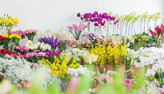 Hồng vàng ánh trăng - 10 cành/bó