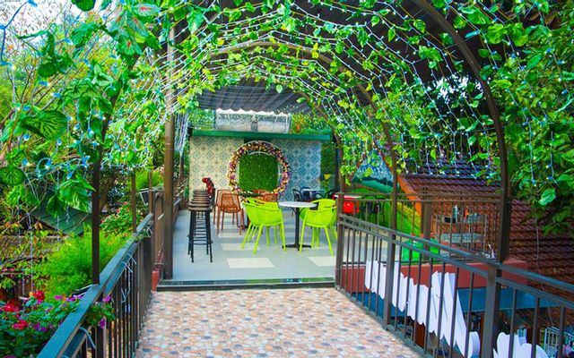 Đồi Xanh Cafe