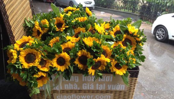 Ciao Flower - Shop Online