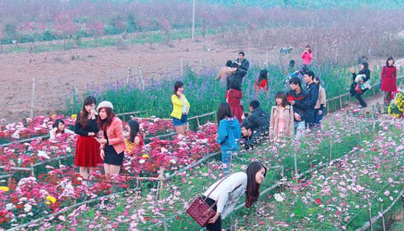 Vườn Hoa Nhật Tân