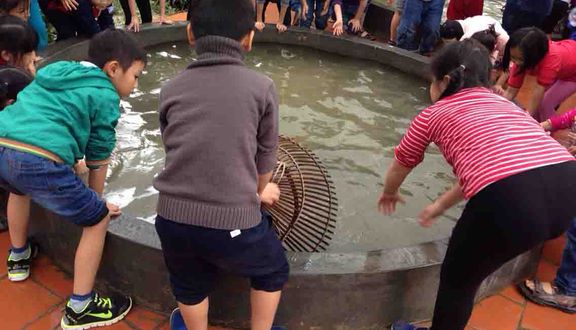 Trang Trại EcoGarden Thái Dương
