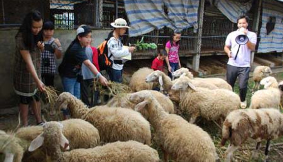 Trang Trại Đồng Quê Ba Vì - Vân Hòa