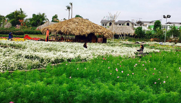 Thung Lũng Hoa Hồ Tây