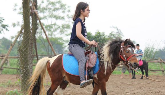 Nông Trại Dê Trắng - Tản Lĩnh
