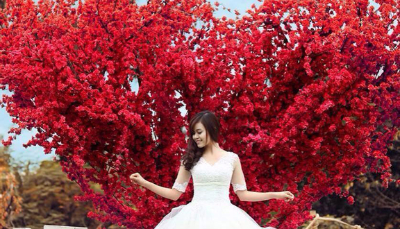 Love Garden - Khu Vườn Chụp Hình
