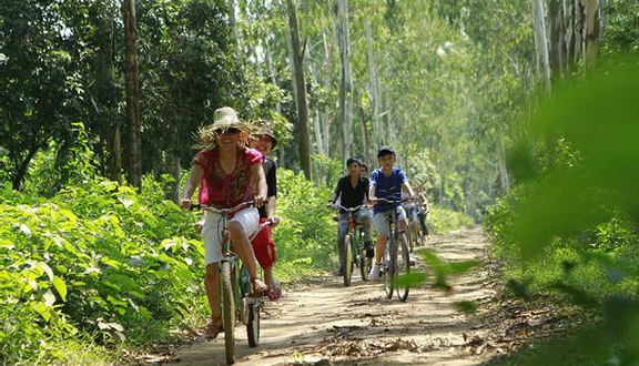 Khu Cắm Trại Dã Ngoại SonTinh Camp
