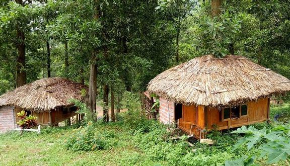 Đồi Chong Chóng Ba Vì - Camping & Team Building