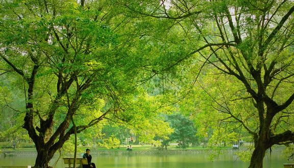 Công Viên Bách Thảo