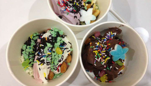 Scoop Yogurts
