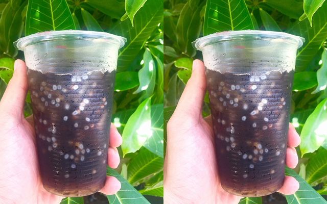 Sâm Bí Đao Hạt Chia & Sương Sáo