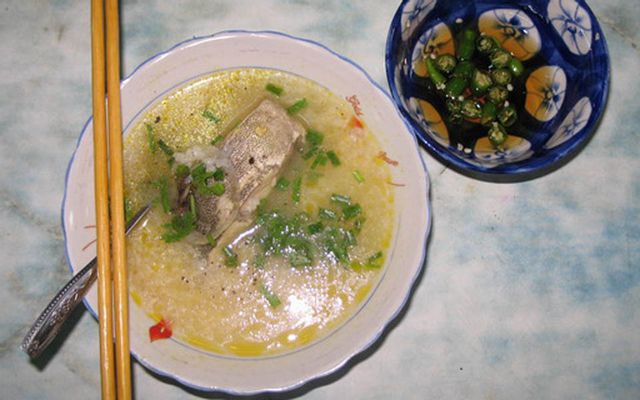 Cháo gân