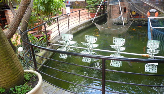 Đầm Tôm