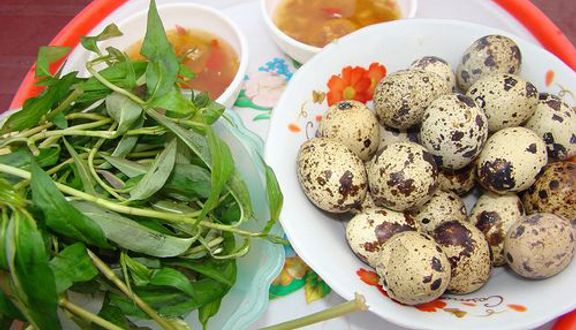 Cút Lộn & Vịt Lộn