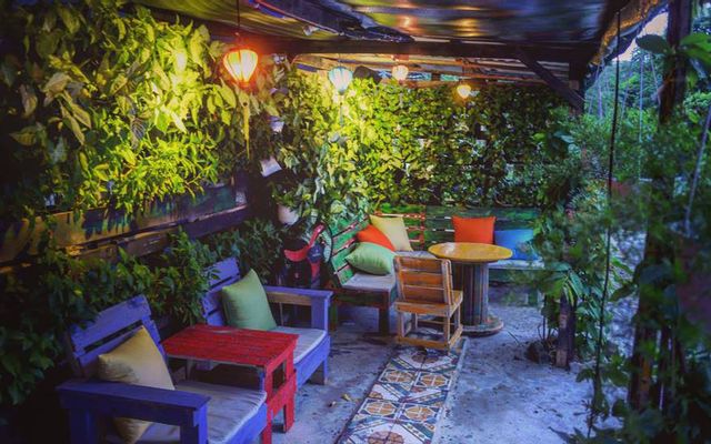 Crazy Cat's Cafe & Pub