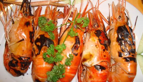 Cây Dừa 3