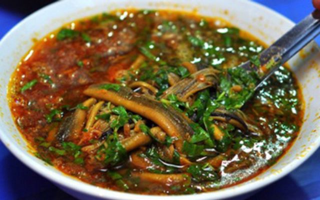 Phân Lươn Thêm