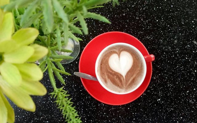 240 Coffee