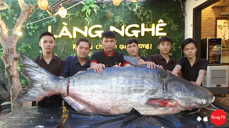 Ốp la bò xíu mại
