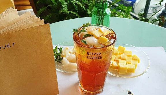 Trà Hoa lạc thần (atiso)