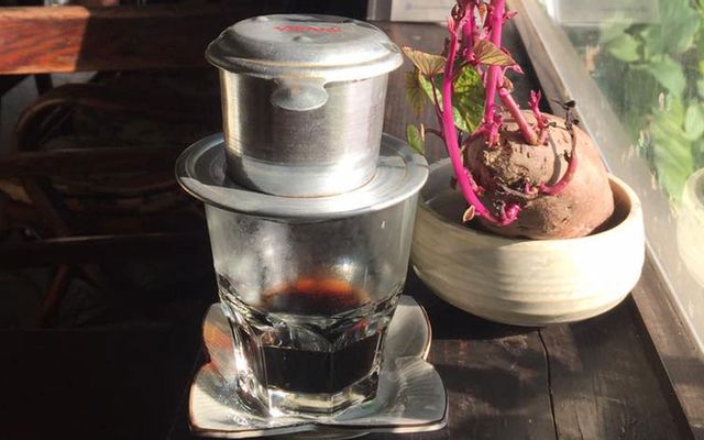 Nước ép táo