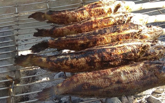 Cá Lóc Nướng & Gà Nướng - Nguyễn Thị Định