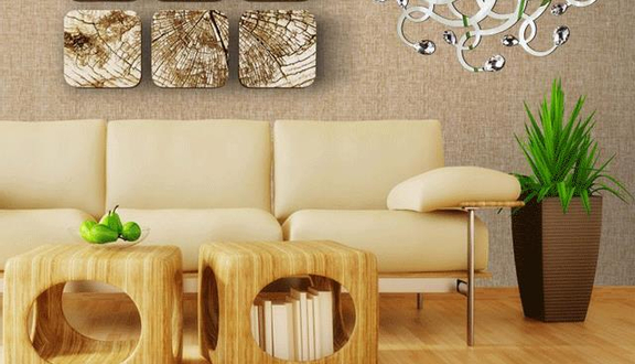 Táo Decor