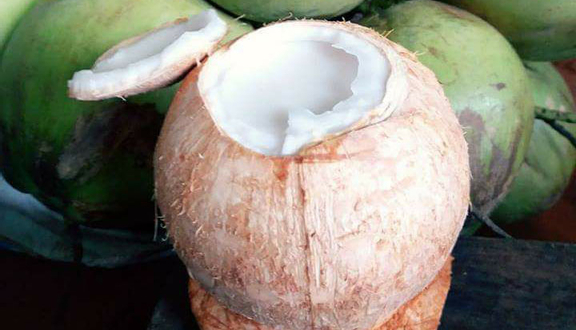 Tùng Anh - Dừa Xiêm Bến Tre
