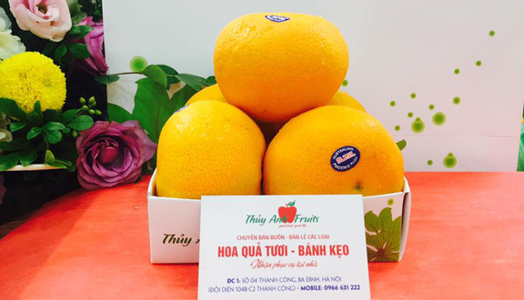 Thủy Anh Fruits - Hoa Quả Nhập Khẩu - Thành Công