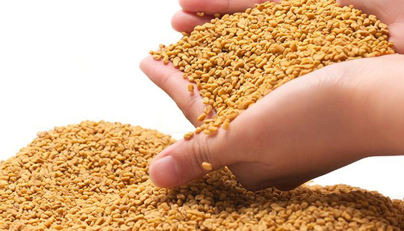 Hạt Methi Ấn Độ - Điều Trị Bệnh Tiểu Đường