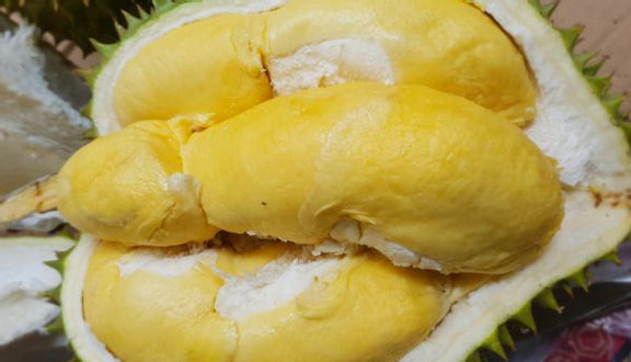 HK Foods - Sầu Riêng Rụng