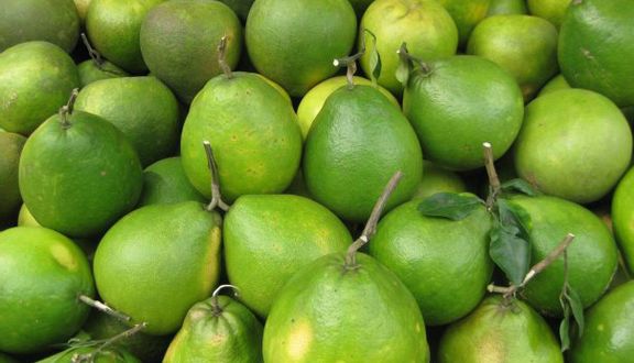 Chợ Thực Phẩm Việt - Mễ Trì