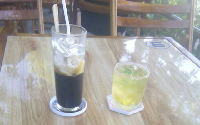 Bít têt cá mồi
