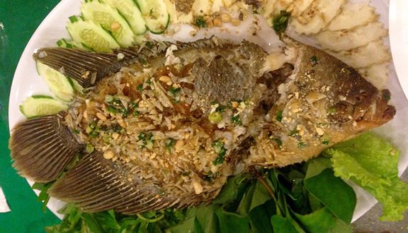Cây Bưởi 4