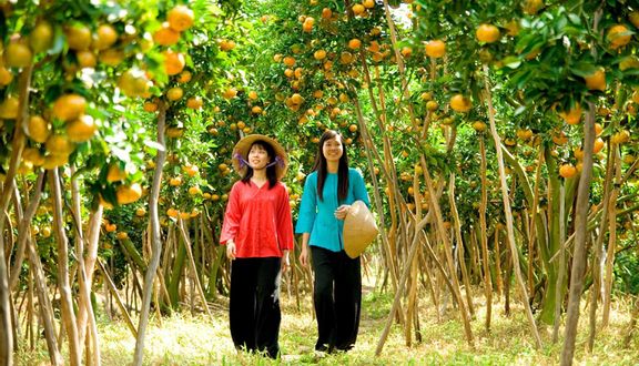 Vườn Trái Cây Nam Bộ