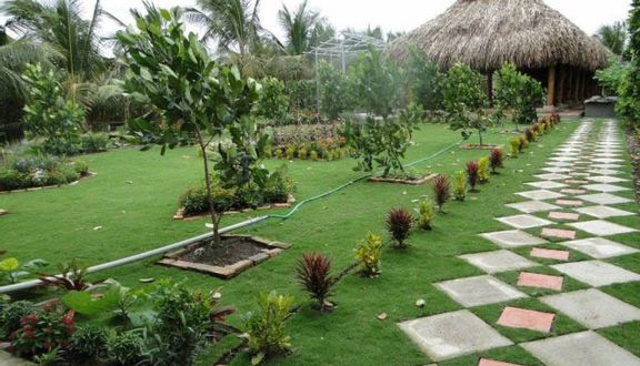 Vườn Sinh Thái Hoa Súng