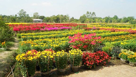 Làng Hoa Kiểng Bà Bộ