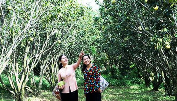 Cồn Sơn