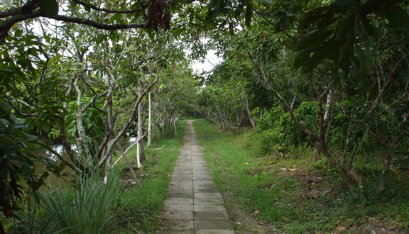 3 Xinh - Nhà Vườn Homestay