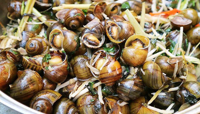 Sò Lông Nướng